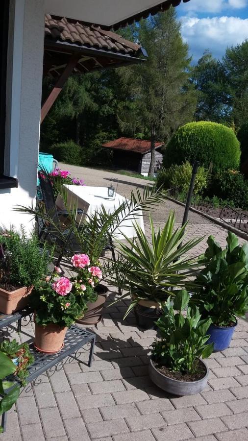 Ferienwohnung Haus Finkbeiner Kniebis Luaran gambar