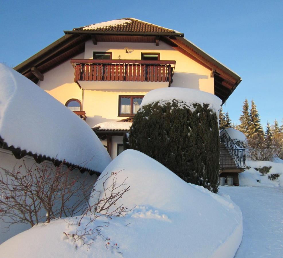 Ferienwohnung Haus Finkbeiner Kniebis Luaran gambar