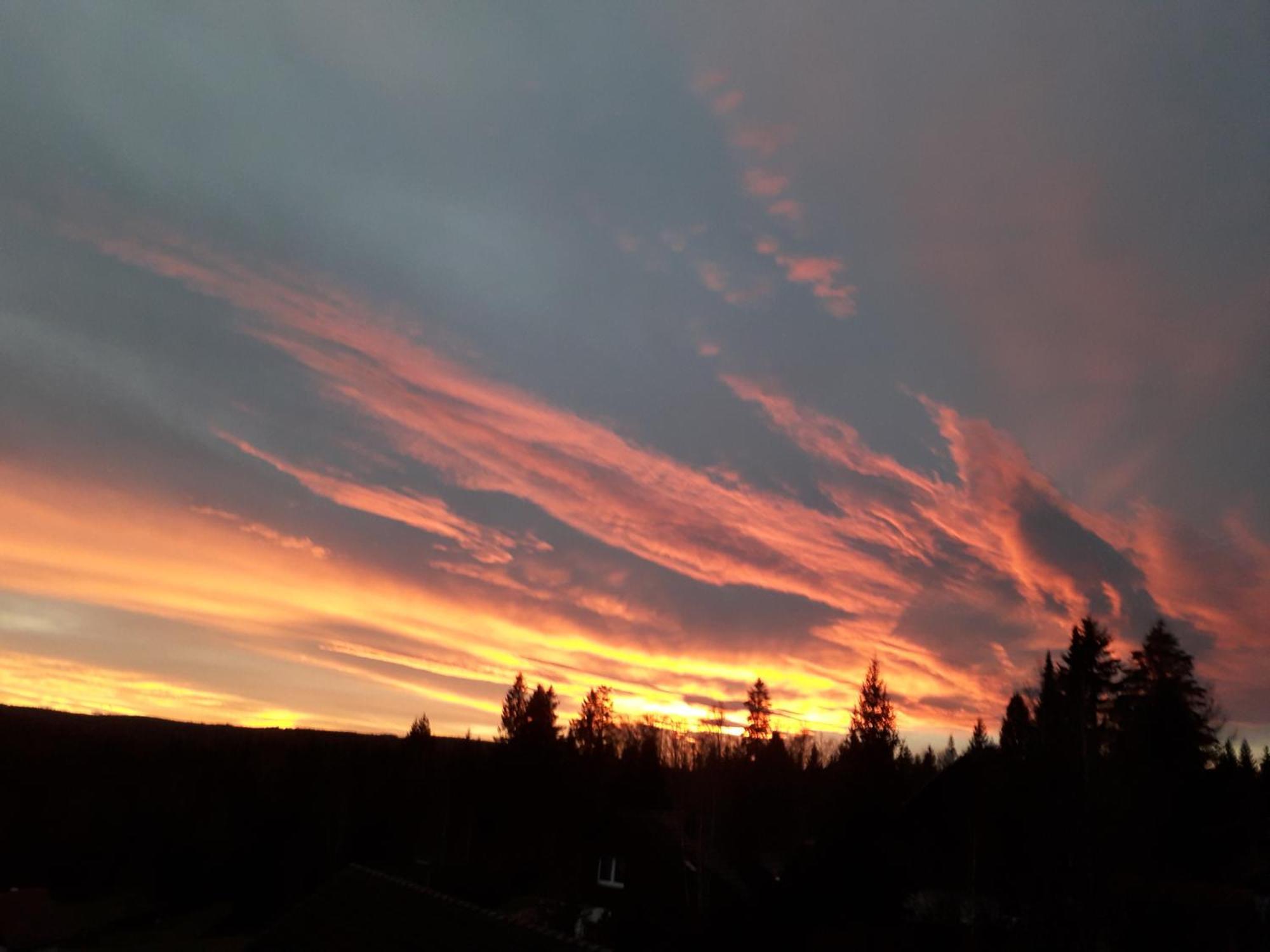 Ferienwohnung Haus Finkbeiner Kniebis Luaran gambar